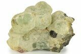 Botryoidal Prehnite and Epidote - Mali #220467-1